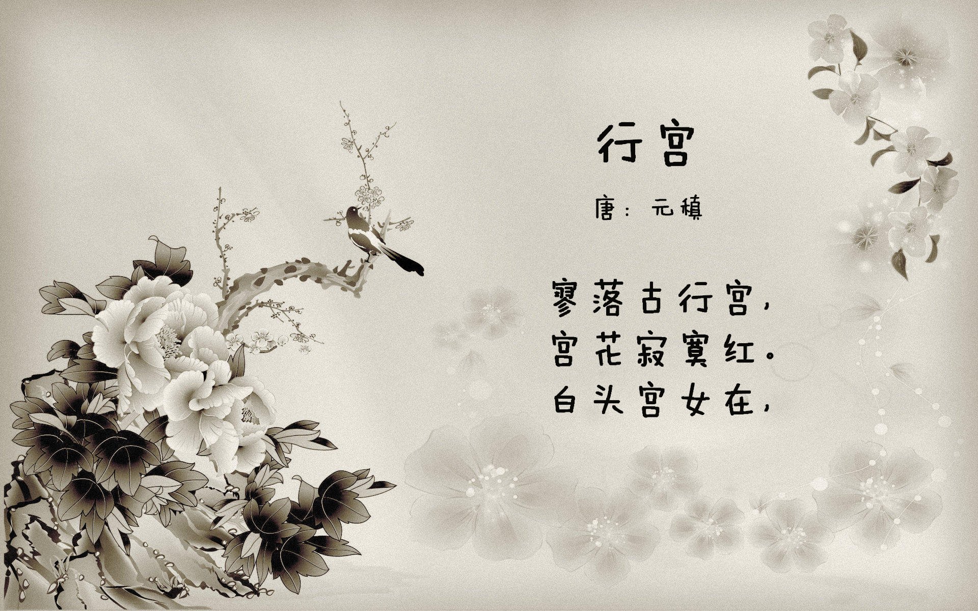 挑战榜上冠军！墨西哥女队对阵巴拿马，胜者晋级，墨西哥vs巴拿马的比分结果