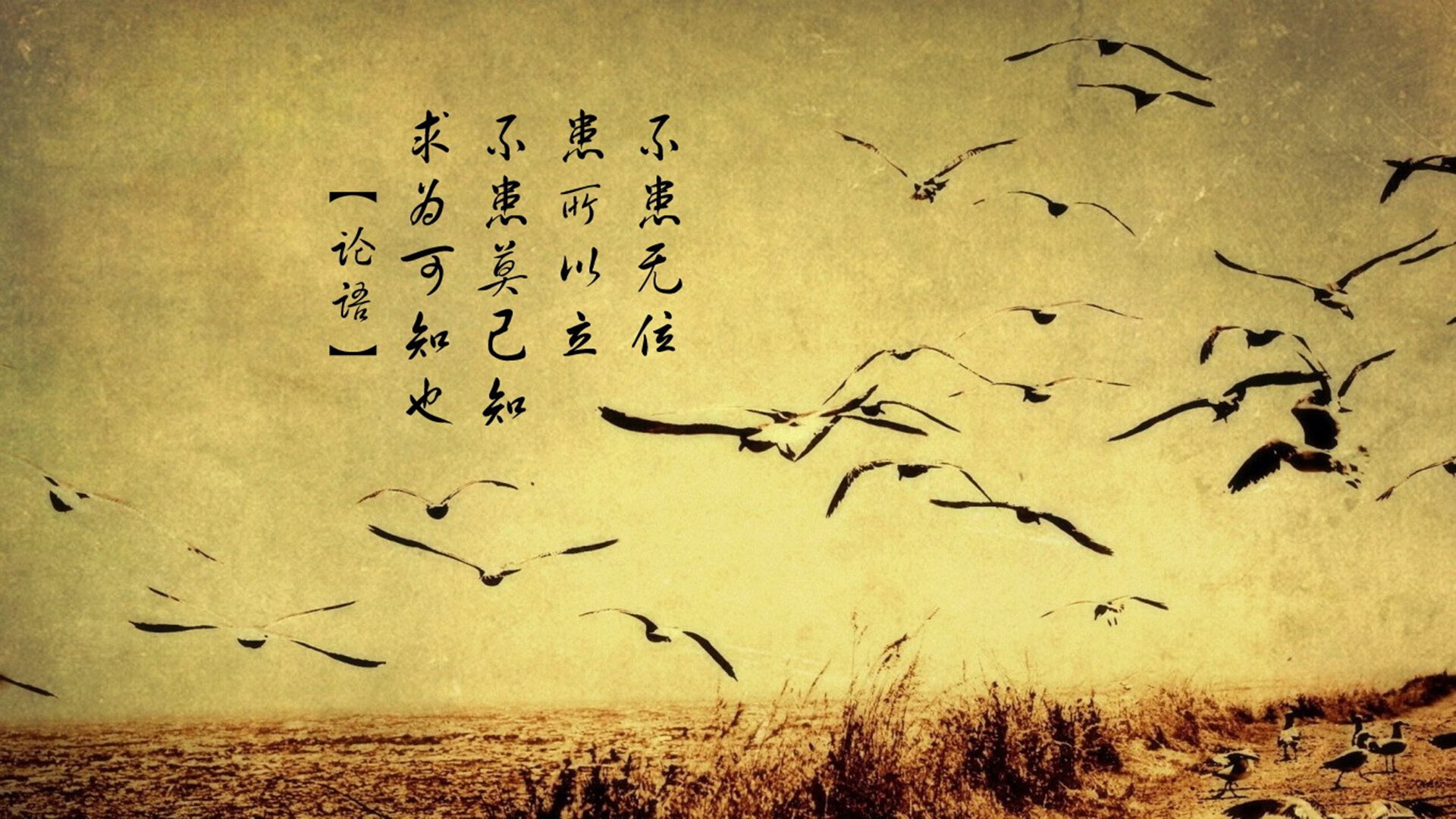 比利时足球队在比赛场上表现出超凡的实力，比利时足球队是强队吗