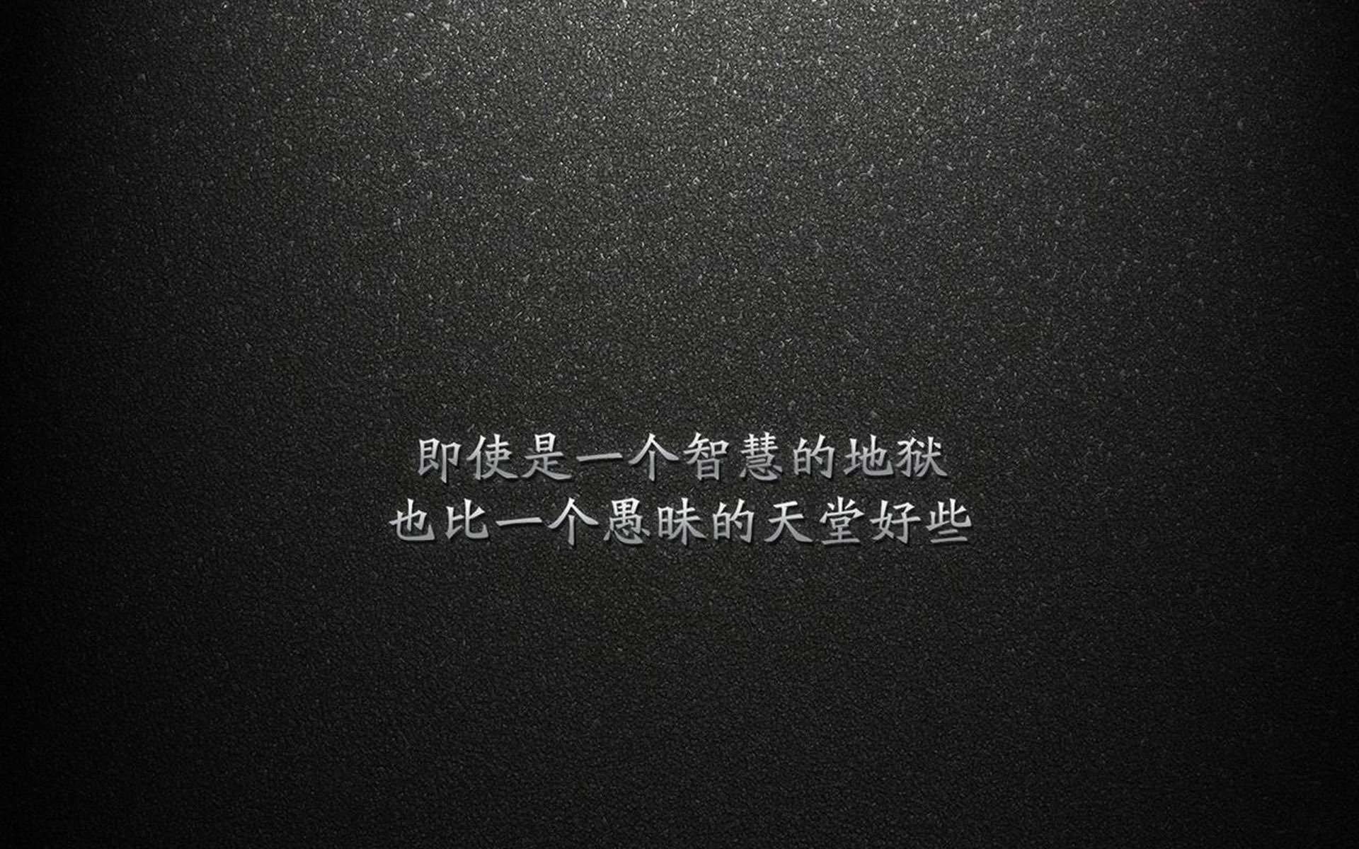 纽卡斯尔联全力拼搏，捍卫主场荣誉！，纽卡斯尔联足球俱乐部官网