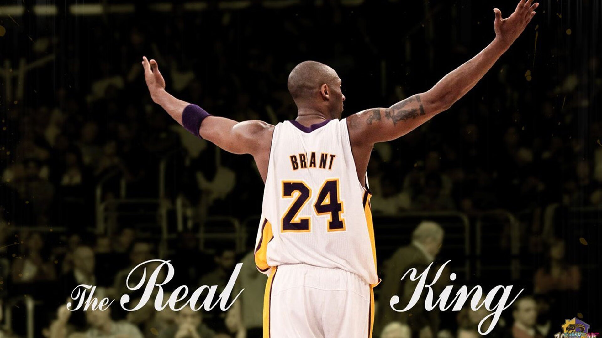 爱游戏ayx官网-最“萌”的比赛：球迷与动物的趣味互动，动物踢球的游戏